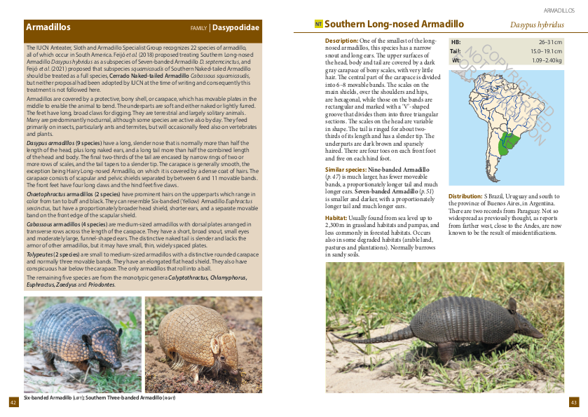 A FIELD GUIDE TO THE LARGER MAMMALS OF SOUTH AMERICA 2