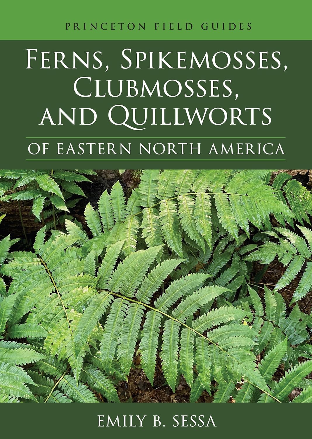 FERNS, SPIKEMOSSES, CLUBMOSSES AND QUILLWORTS OF EASTERN NORTH AMERICA