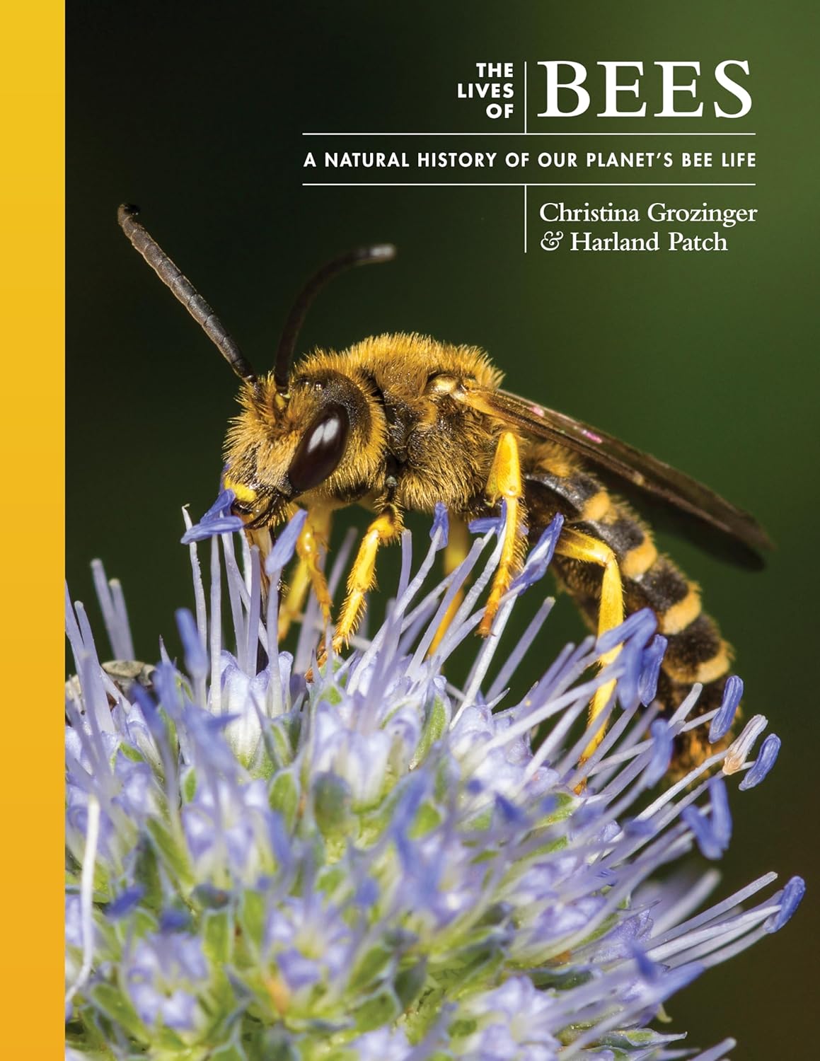 THE LIVES OF BEES: A NATURAL HISTORY OF OUR PLANET'S BEE LIFE