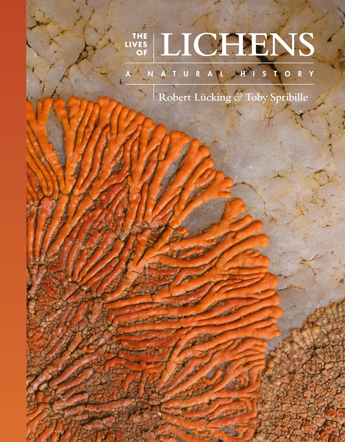 THE LIVES OF LICHENS: A NATURAL HISTORY 1