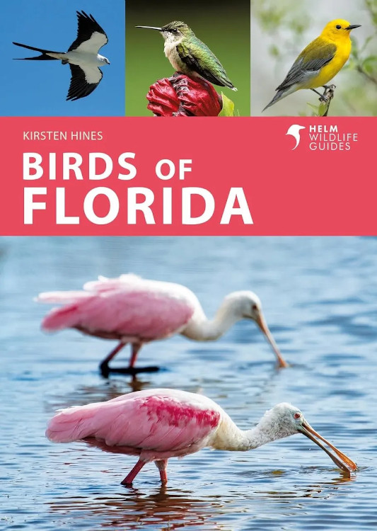 HELM WILDLIFE GUIDES. BIRDS OF FLORIDA