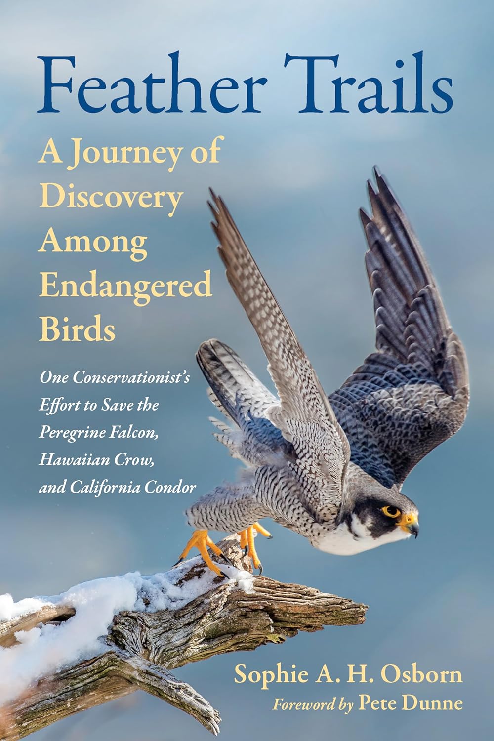 FEATHER TRAILS. A JOURNEY OF DISCOVERY AMONG ENDANGERED BIRDS