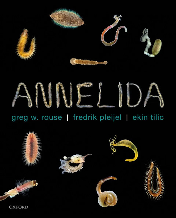 ANNELIDA