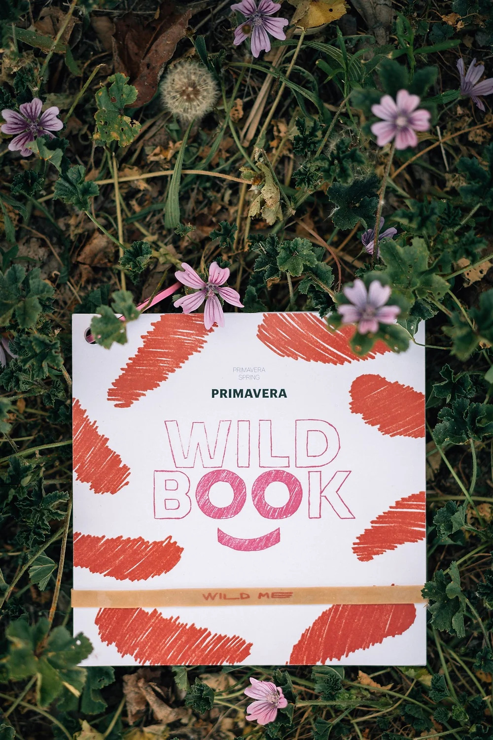 WILD BOOK. PRIMAVERA SPRING PRIMAVERA 1
