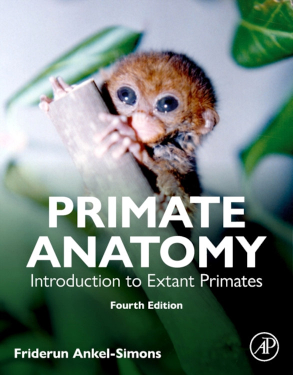 PRIMATE ANATOMY. INTRODUCTION TO EXTANT PRIMATES
