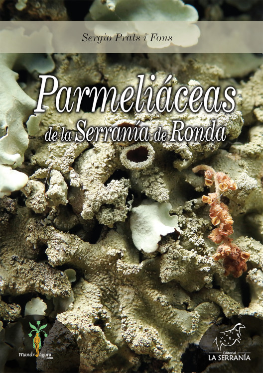 PARMELIÁCEAS DE LA SERRANÍA DE RONDA 1