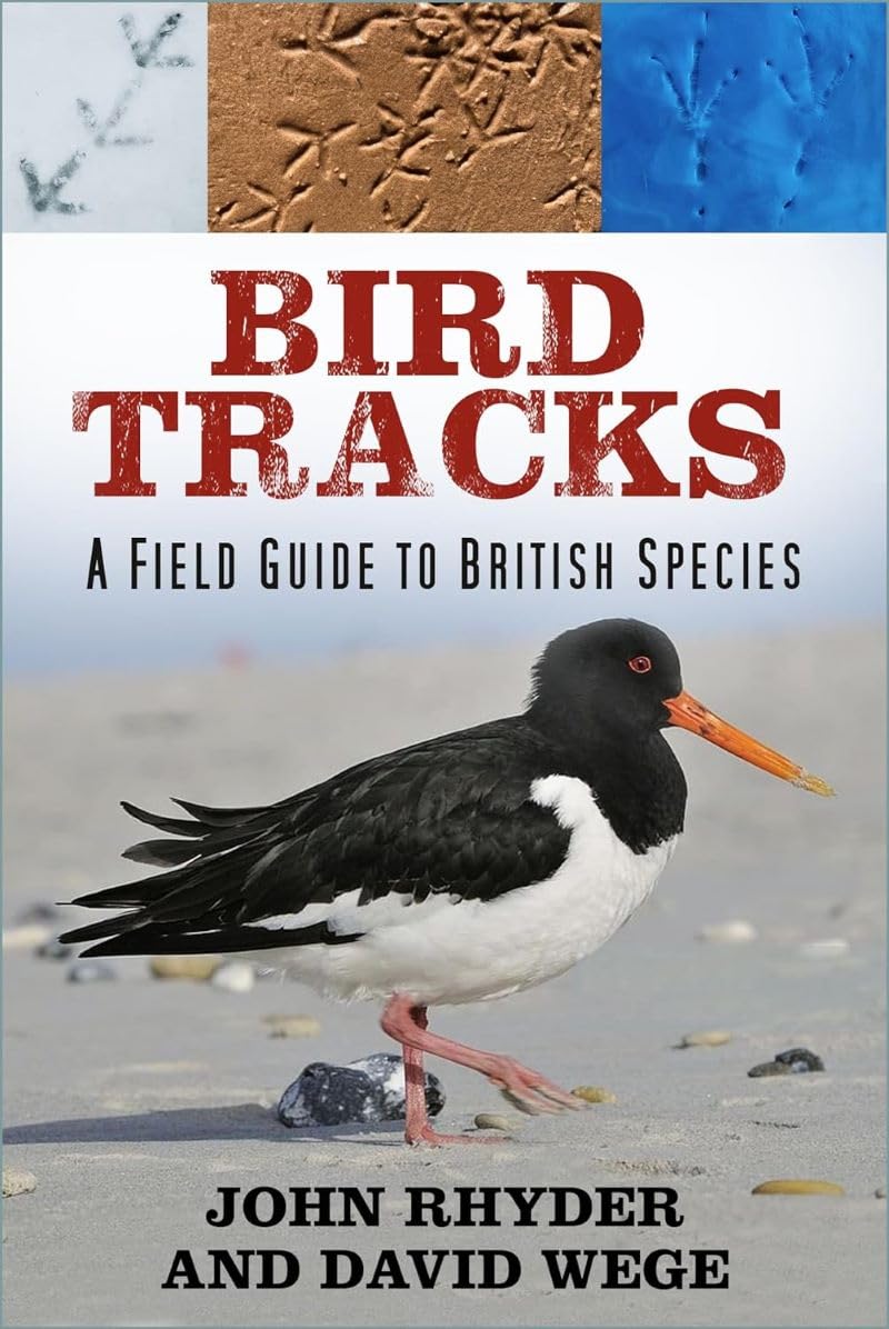 BIRD TRACKS: A FIELD GUIDE TO BRITISH SPECIES