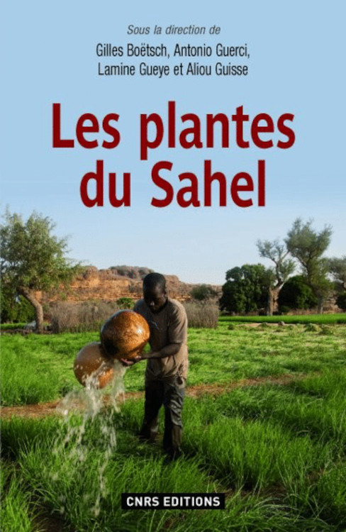 LES PLANTES DU SAHEL 1