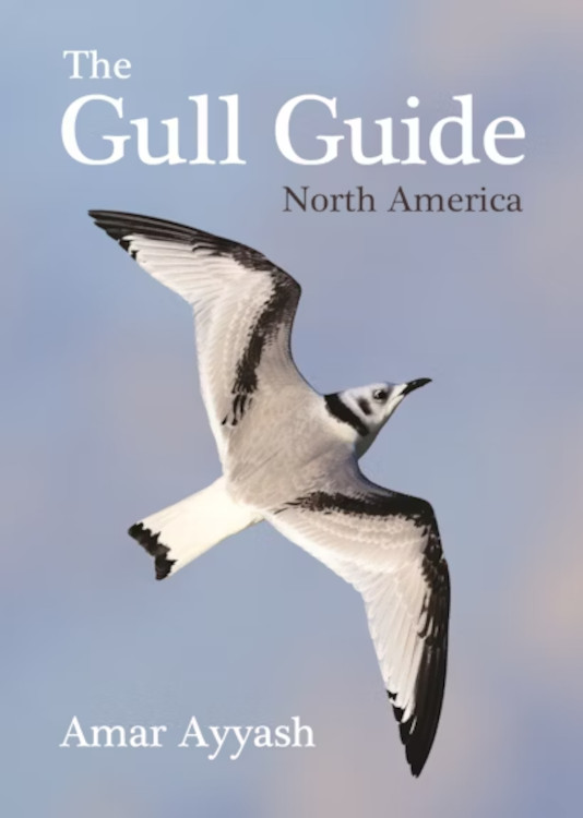 THE GULL GUIDE NORTH AMERICA
