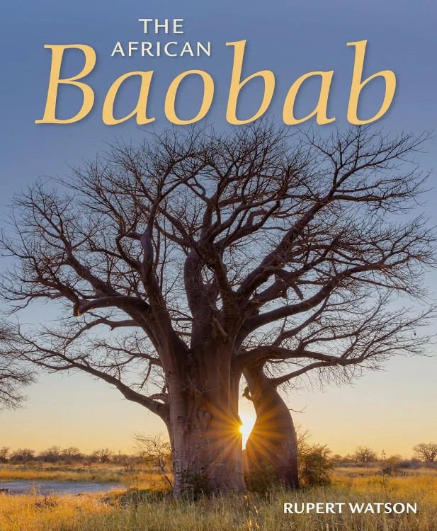 THE AFRICAN BAOBAB