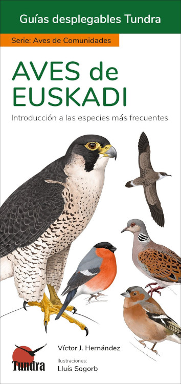 AVES DE EUSKADI. INTRODUCCIÓN A LAS ESPECIES MÁS FRECUENTES. GUÍAS DESPLEGABLES TUNDRA