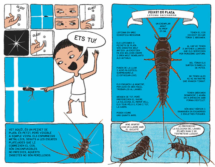 BESTIOLES. LA JUNGLA A CASA 2
