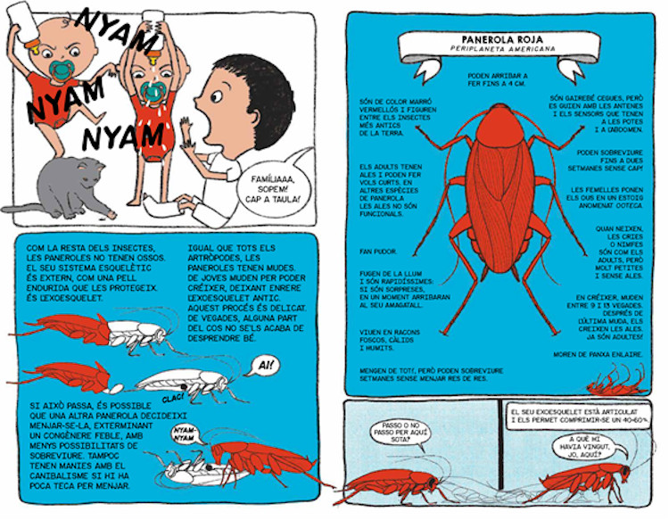 BESTIOLES. LA JUNGLA A CASA 3