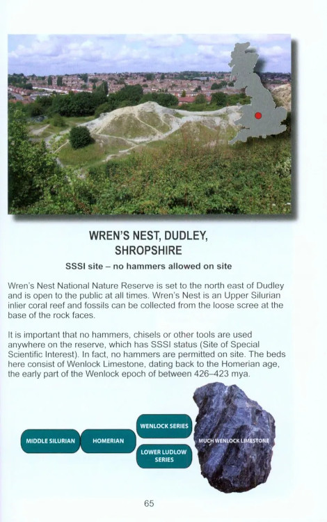 A GUIDE TO FOSSIL COLLECTING IN ENGLAND AND WALES 2