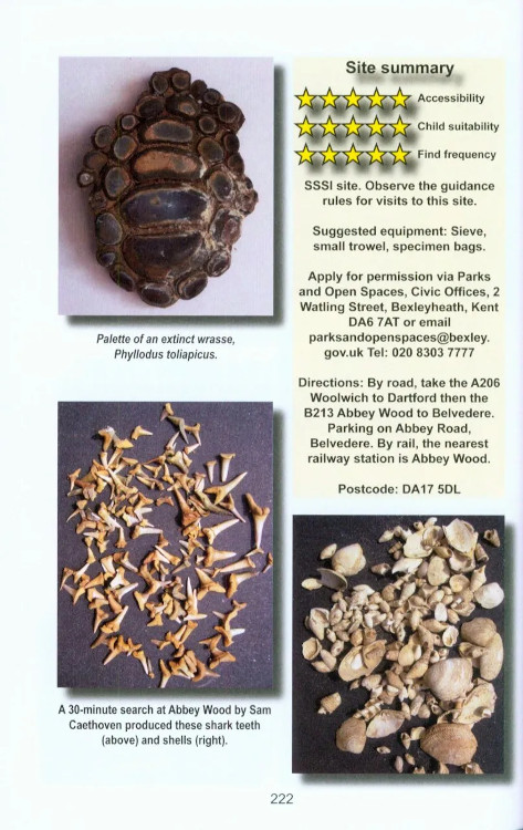 A GUIDE TO FOSSIL COLLECTING IN ENGLAND AND WALES 5