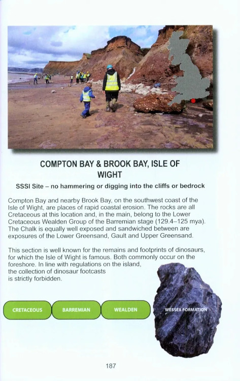 A GUIDE TO FOSSIL COLLECTING IN ENGLAND AND WALES 4