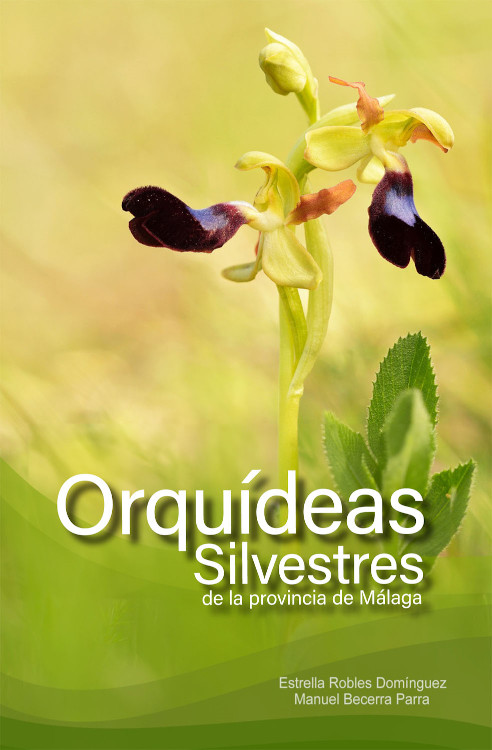 ORQUÍDEAS SILVESTRES DE LA PROVINCIA DE MÁLAGA. GUÍA BÁSICA DE IDENTIFICACIÓN