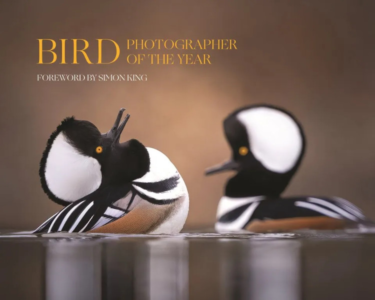 BIRD PHOTOGRAPHER OF THE YEAR, COLLECTION 9