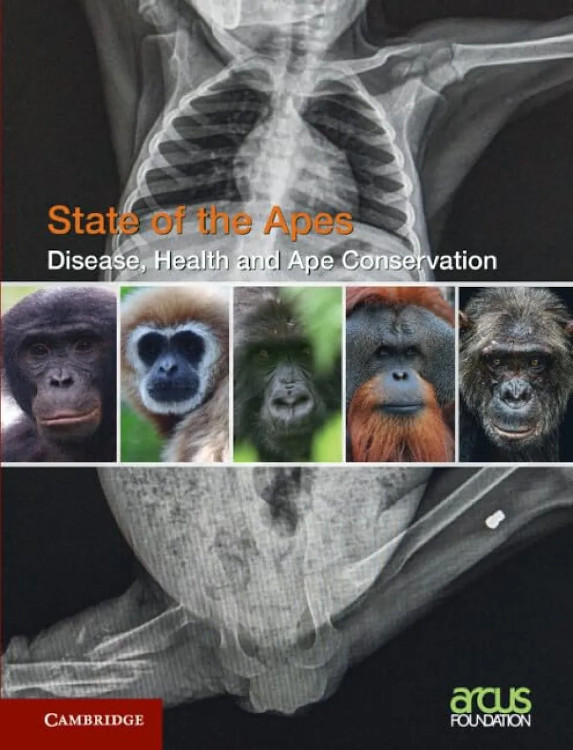 DISEASE, HEALTH AND APE CONSERVATION 1