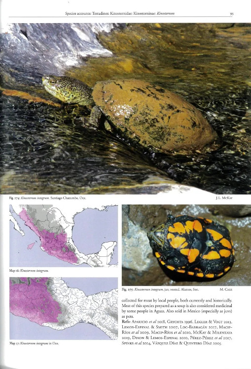 REPTILES OF OAXACA. TURTLES, CROCODILES, LIZARDS AND SNAKES OF MEXICO'S MOST BIODIVERSE STATE 2
