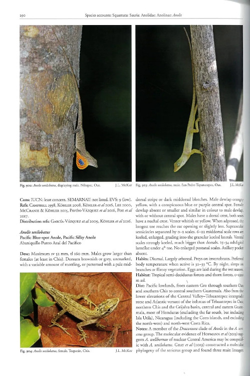 REPTILES OF OAXACA. TURTLES, CROCODILES, LIZARDS AND SNAKES OF MEXICO'S MOST BIODIVERSE STATE 3