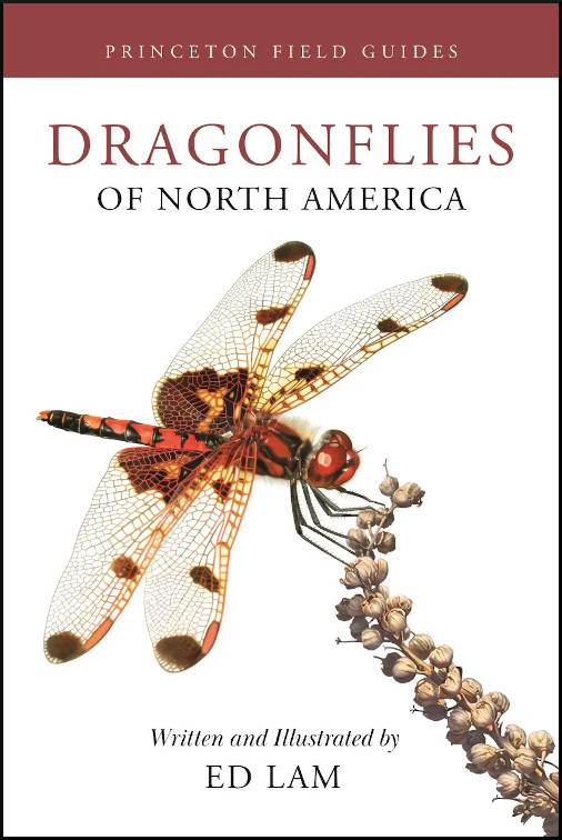 DRAGONFLIES OF NORTH AMERICA