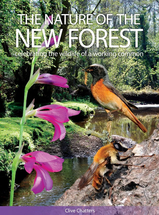 THE NATURE OF THE NEW FOREST. CELEBRATING THE WILDLIFE OF A WORKING COMMON