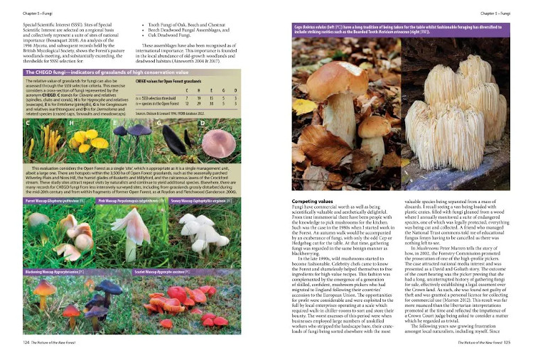 THE NATURE OF THE NEW FOREST. CELEBRATING THE WILDLIFE OF A WORKING COMMON 3