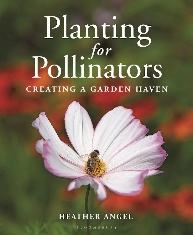 PLANTING FOR POLLINATORS. CREATING A GARDEN HEAVEN 1