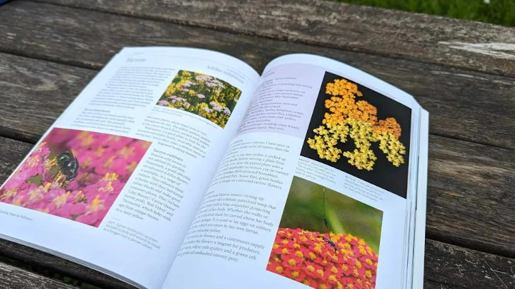 PLANTING FOR POLLINATORS. CREATING A GARDEN HEAVEN 2