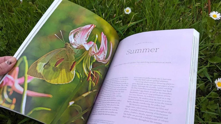 PLANTING FOR POLLINATORS. CREATING A GARDEN HEAVEN 3