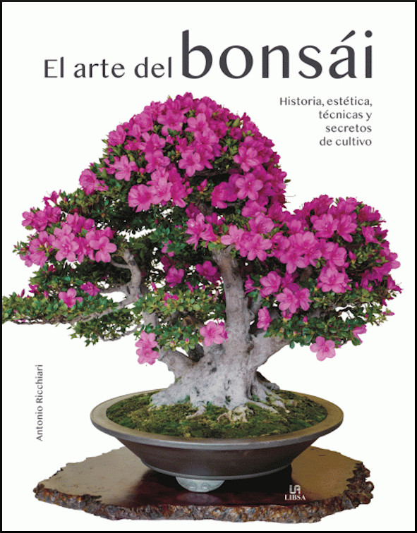 EL ARTE DEL BONSÁI. HISTORIA, ESTÉTICA, TÉCNICAS Y SECRETOS DE CULTIVO 1