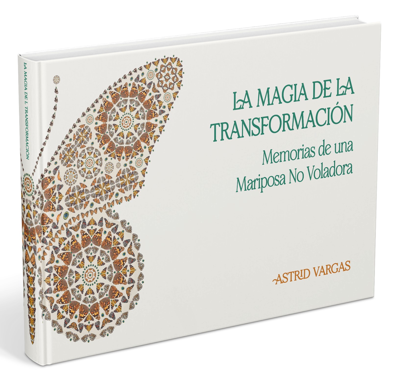LA MAGIA DE LA TRANSFORMACION