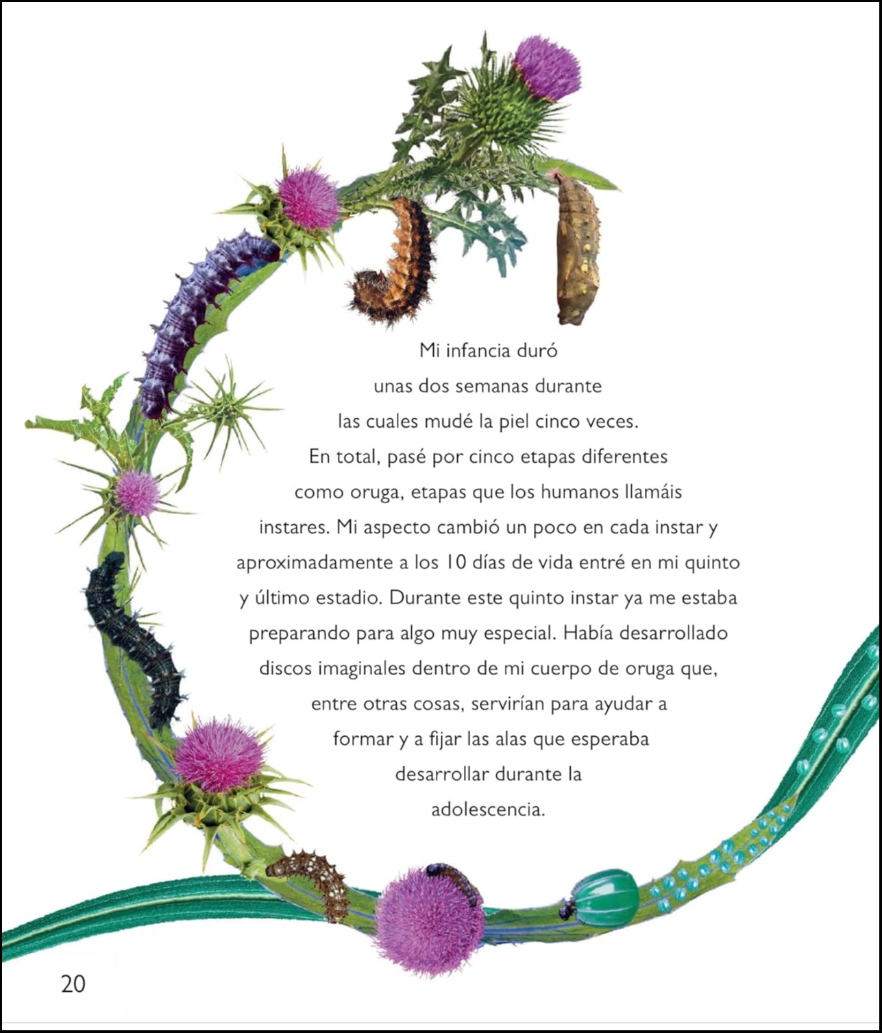 LA MAGIA DE LA TRANSFORMACION 4