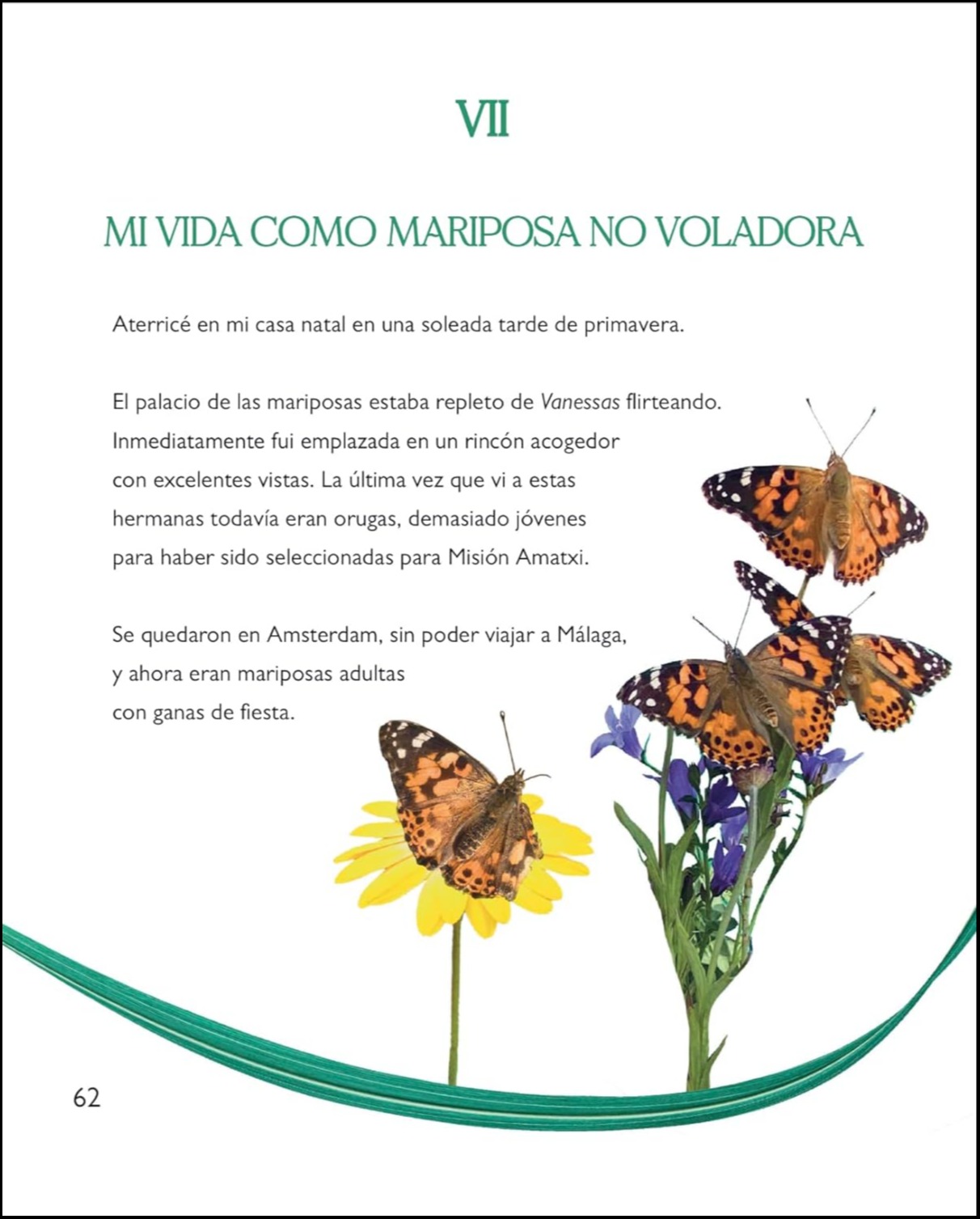 LA MAGIA DE LA TRANSFORMACION 6