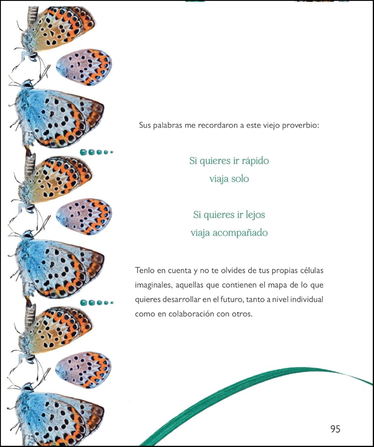 LA MAGIA DE LA TRANSFORMACION 7