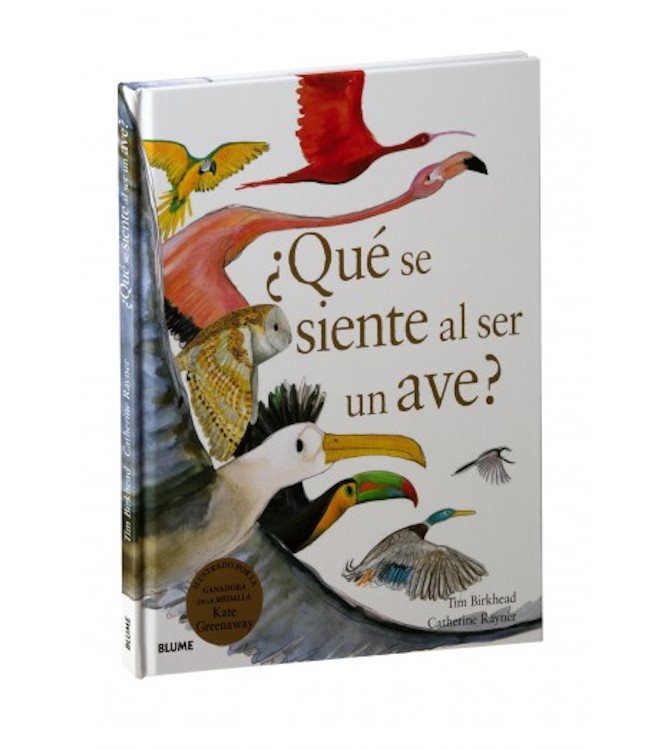 ¿QUÉ SE SIENTE AL SER UN AVE? 1