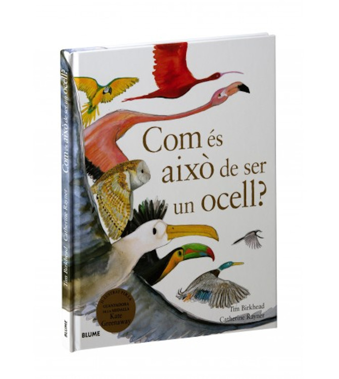 COM ÉS AIXÒ DE SER UN OCELL? 1