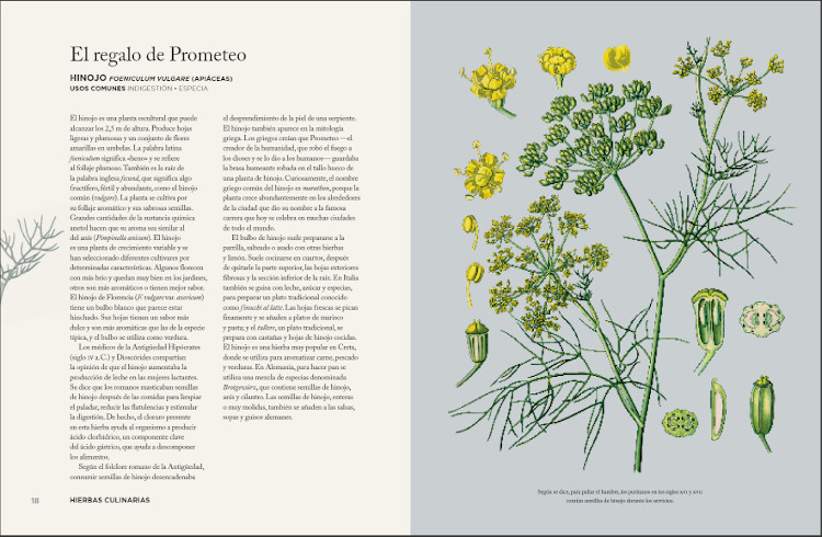 HIERBAS QUE HAN SANADO EL MUNDO Y OTRAS HISTORIAS DE PLANTAS EXTRAORDINARIAS 2