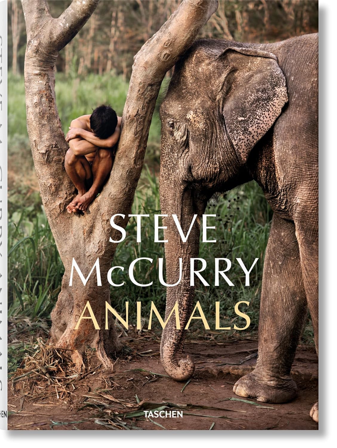 STEVE MC CURRY. ANIMALS 1