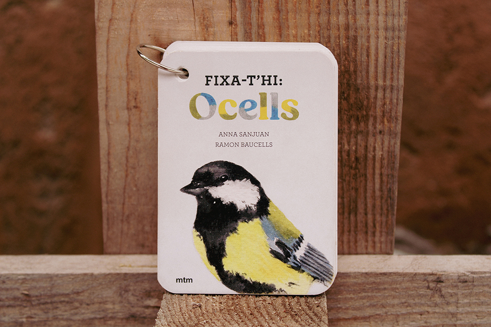 FIXA-T'HI OCELLS 1