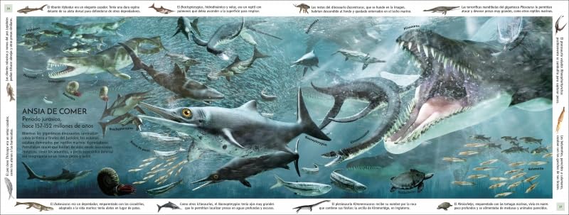 LA VIDA A TRAVÉS DEL TIEMPO. LA HISTORIA DE LOS 700 MILLONES DE AÑOS EN LA TIERRA 3