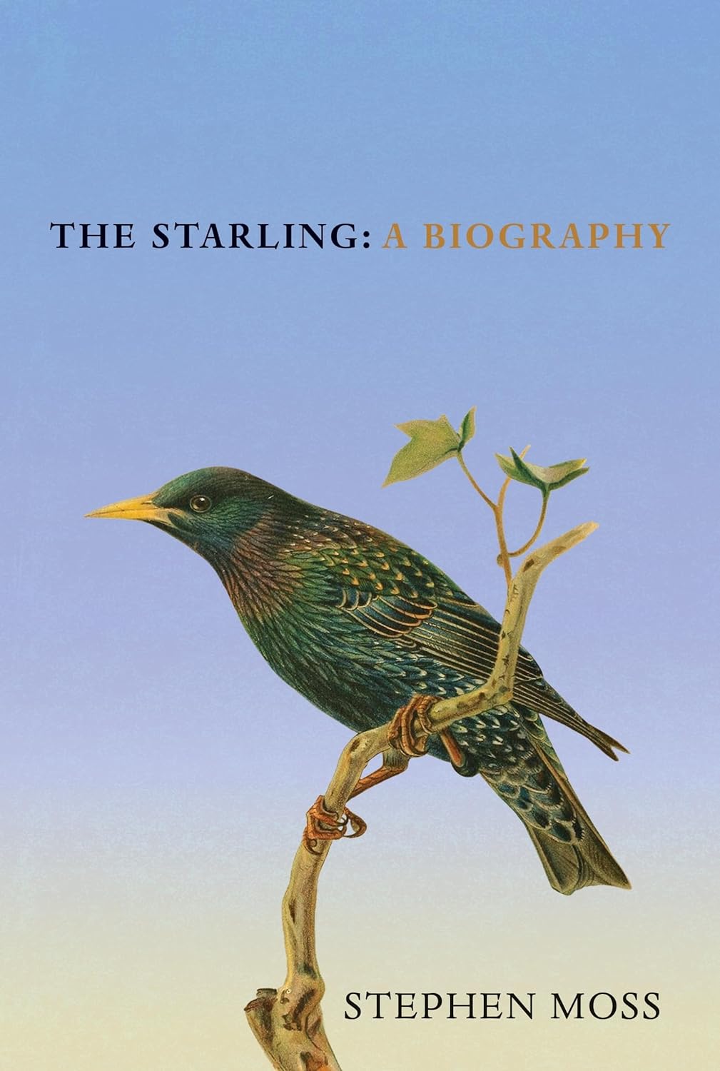 THE STARLING. A BIOGRAPHY 1