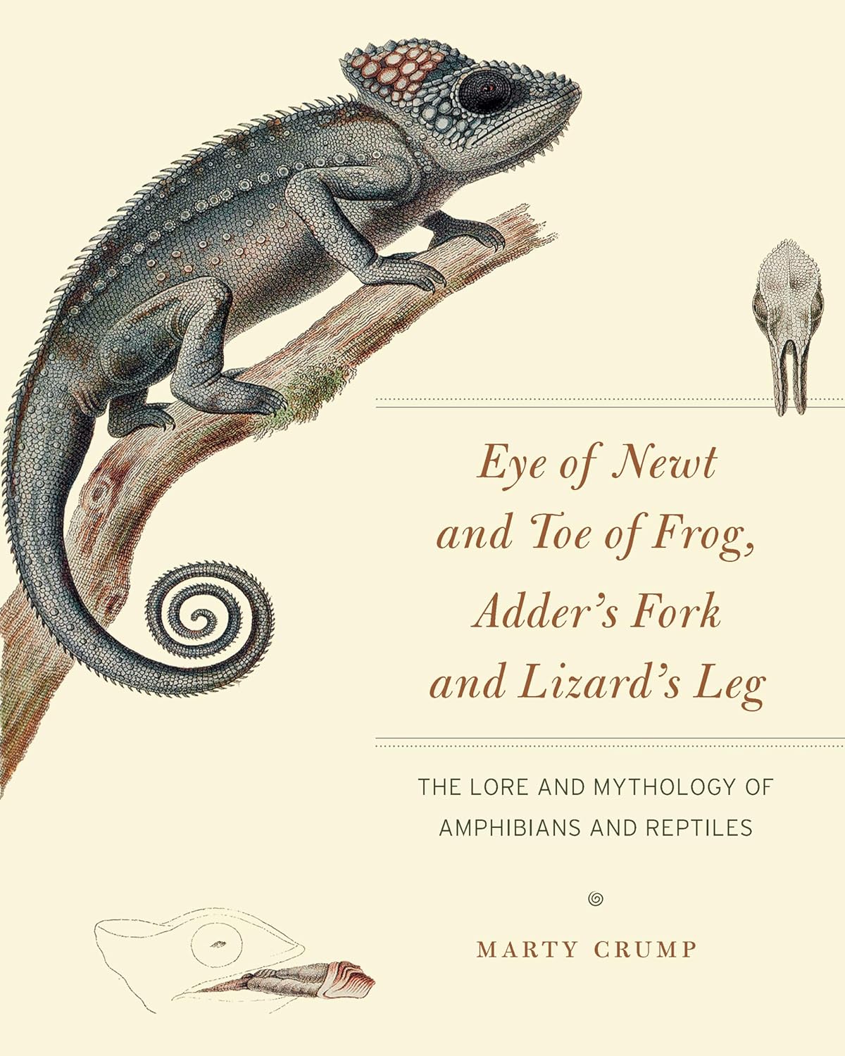 EYE OF NEWT AND TOE OF FROG. ADDER'S FORK AND LIZARD'S LEG. THE LORE AND MYTHOLOGY OF AMOHIBIANS AND REPTILES