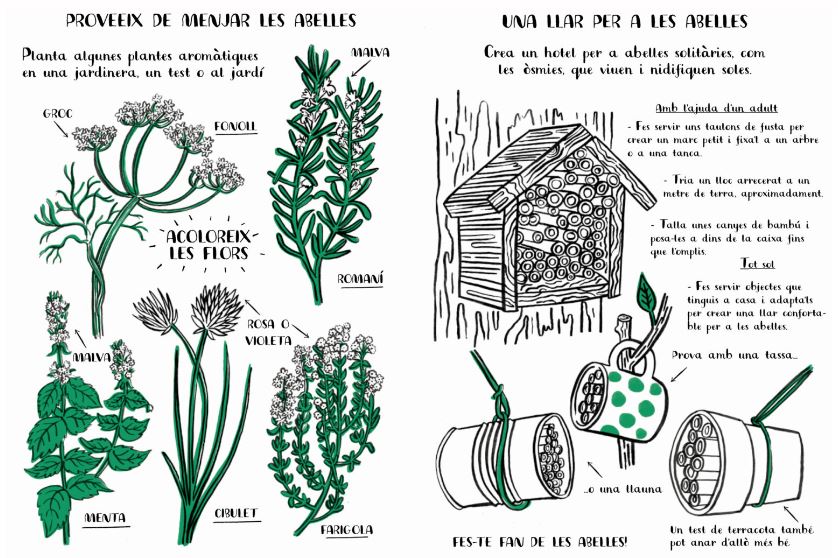 HOLA, NATURA. EXPLORA, DIBUIXA, CREA I DESCOBREIX LA NATURA 2