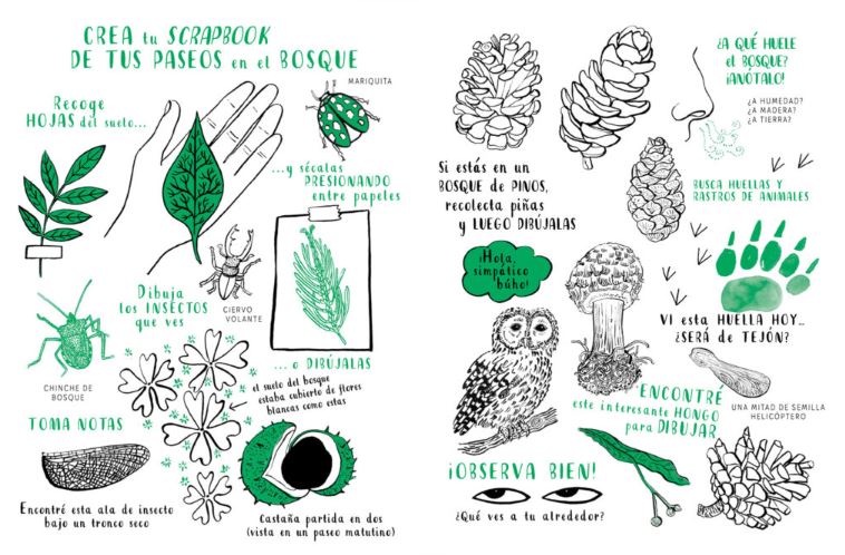 HOLA, NATURA. EXPLORA, DIBUJA, CREA Y DESCUBRE LA NATURALEZA 3