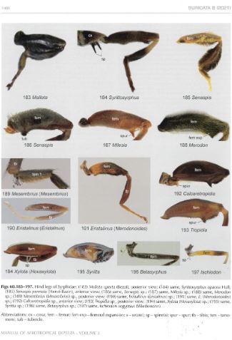 MANUAL OF AFROTROPICAL DIPTERA. VOLUME 3 2