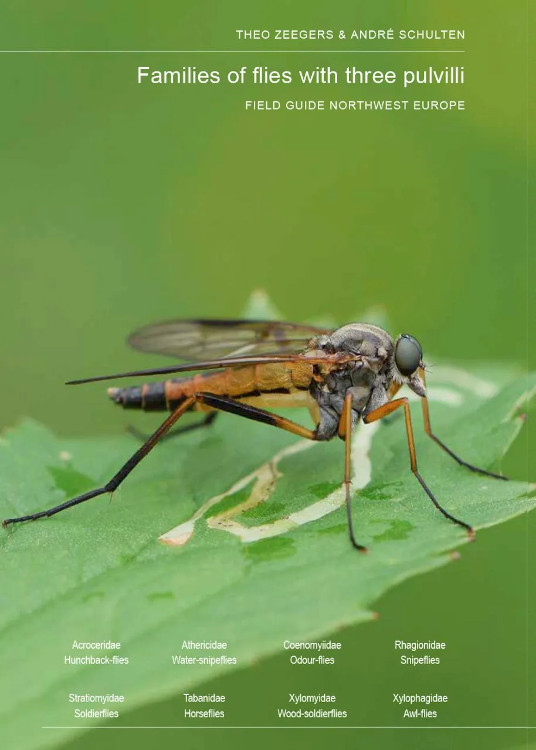 FIELD GUIDE TO FLIES WITH THREE PULVILLI. FAMILIES OF HOMEODACTYLA OF NORTHWEST EUROPE