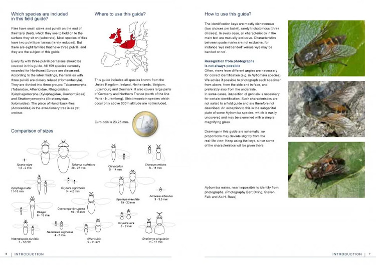 FIELD GUIDE TO FLIES WITH THREE PULVILLI. FAMILIES OF HOMEODACTYLA OF NORTHWEST EUROPE 2
