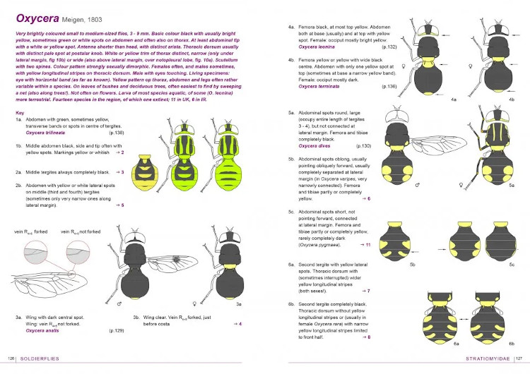 FIELD GUIDE TO FLIES WITH THREE PULVILLI. FAMILIES OF HOMEODACTYLA OF NORTHWEST EUROPE 4